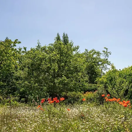 Ferienwohnung-altstadtliebe Apartamento